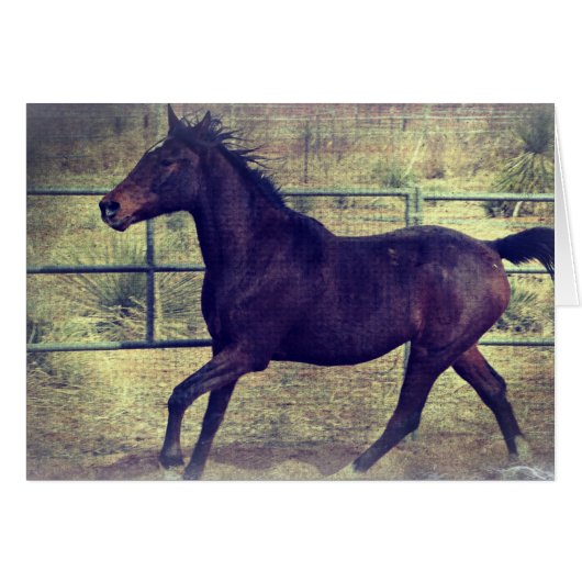 Ronde paard (Voorkant Horizontaal)