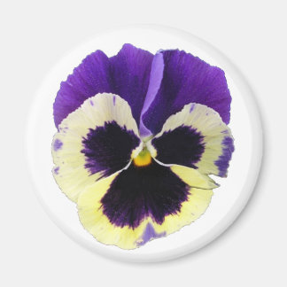 Ronde Paarse en gele Pansy Magnet Magneet