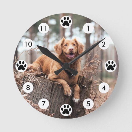 Ronde Pet Photo Wall Horloge (Recto)