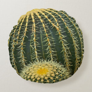 RONDE SIERKUSSEN/GOLDEN BARREL CACTUS ROND KUSSEN