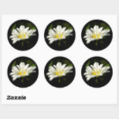 Ronde Sjabloon Sticker (Vel)