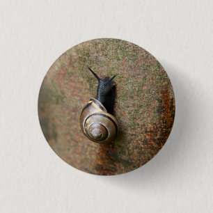 Ronde slak-knop button 3,2 cm