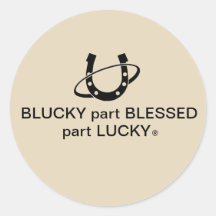 Ronde Sticker, Glanzend, Grote 3 duim (6per blad)