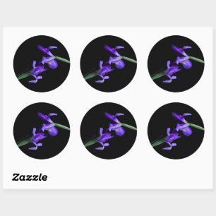 Ronde Sticker van Dual Iris-foto