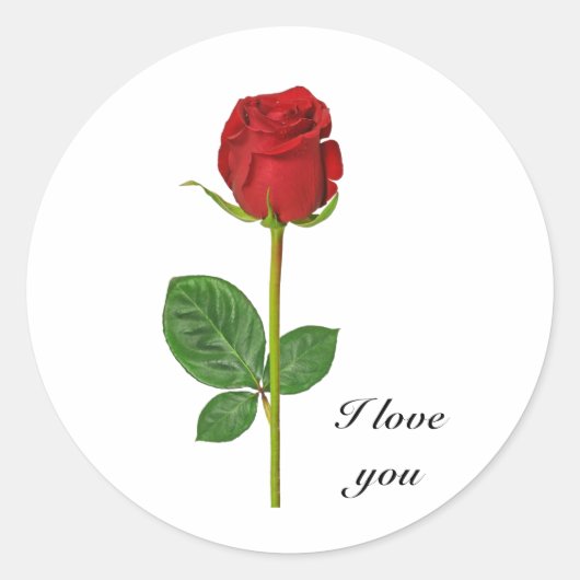 Ronde stickers met roos (Voorkant)