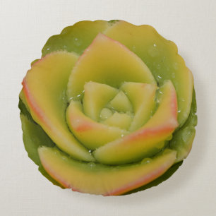 Ronde Succulent Smaragd Botanische Foto Kunstprint Rond Kussen