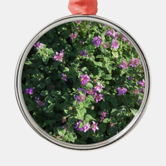 Ronde versiering metalen ornament (Voorkant)