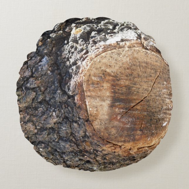 RONDS STYLES D'ART ET DE CONCEPTION DE COUSSINS (Devant)