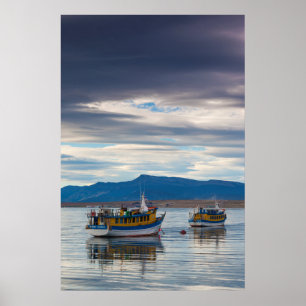 Rondvaartboten op Seno Ultima Esperanza baai Poster