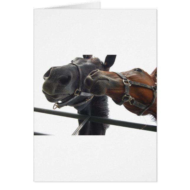 Rondziend (Voorkant)