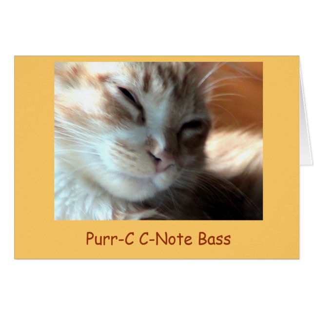 Ronronnement-c de Purrfectly, basse de C-Note de (Devant Horizontal)