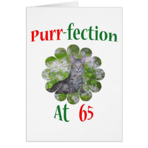 Ronronnement-fection 65