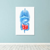 röntgenAfbeelding van interne organen met een klei Canvas Afdruk (Insitu (Houten vloer))