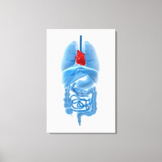 röntgenAfbeelding van interne organen met hart Canvas Afdruk (Voorkant)