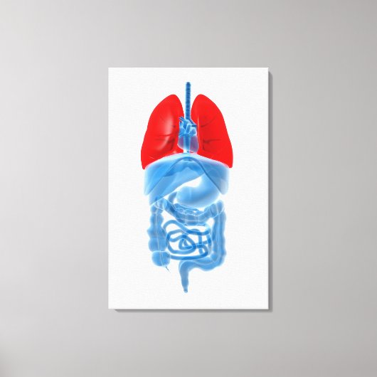 röntgenAfbeelding van interne organen met longen Canvas Afdruk (Voorkant)