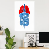röntgenAfbeelding van interne organen met longen Poster (Thuiskantoor)