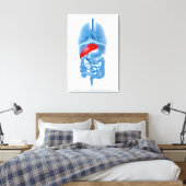 RöntgenAfbeelding van interne organen met pancreas Canvas Afdruk (Insitu (Slaapkamer))