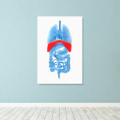 röntgenAfbeelding van inwendige organen met midden Canvas Afdruk (Insitu (Houten vloer))