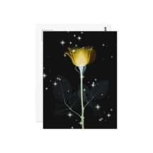 Röntgenbloem met mousserend - geel