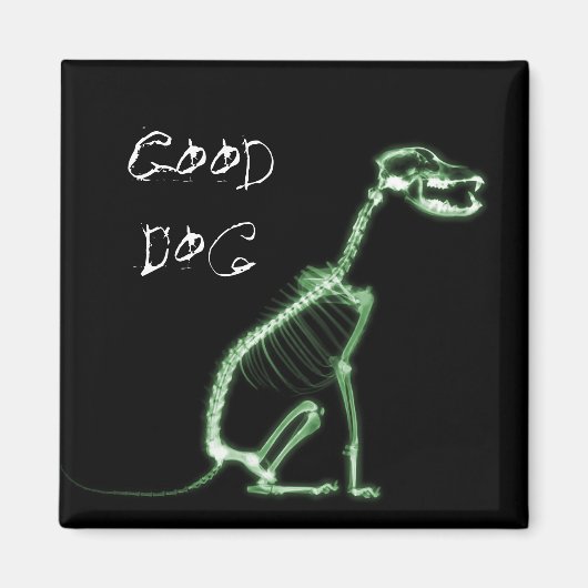 RÖNTGENFOTO GOEDE HOND SKELET ZITTEN - GROEN MAGNEET (Voorkant)