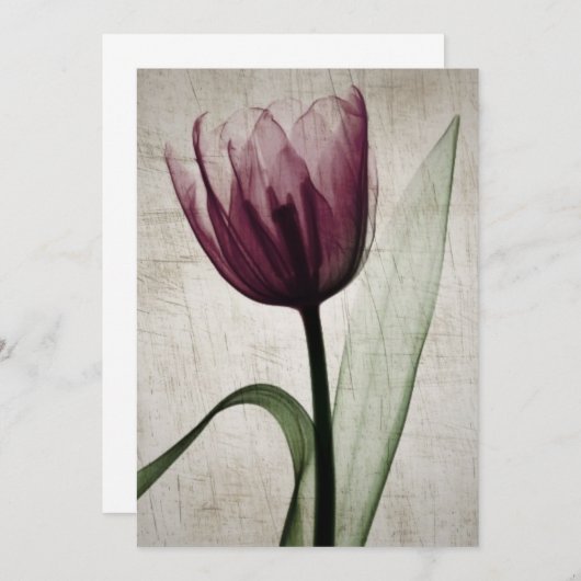  röntgenfoto's (Voorkant / Achterkant)