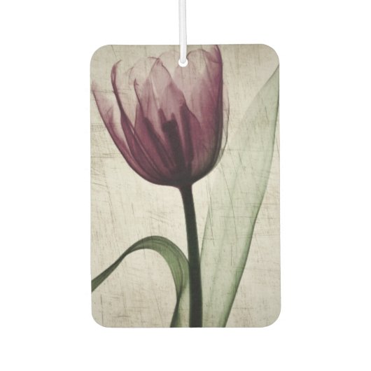  röntgenfoto's luchtverfrisser (Voorkant)