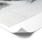  röntgenfoto's van schildpad poster (Hoek)