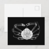 Röntgenkrab Briefkaart (Voorkant / Achterkant)
