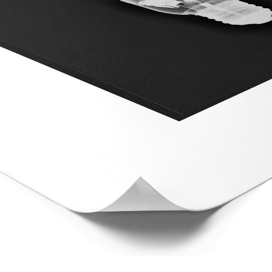 röntgenkunst poster (Hoek)