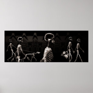 Röntgenspleetons van de vistank - Sepia Poster