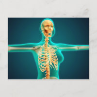 RöntgenUitzicht van het Vrouw bovenlichaam met rib