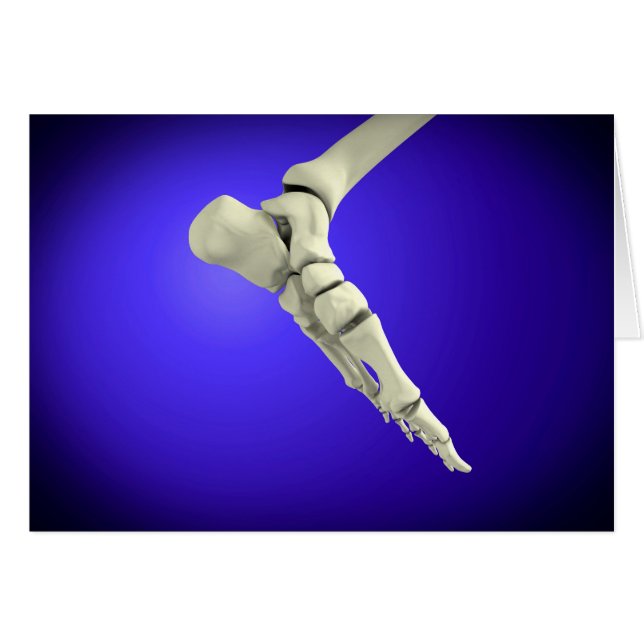 röntgenUitzicht van menselijke voet 2 (Voorkant Horizontaal)