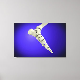 röntgenUitzicht van menselijke voet 2 Canvas Afdruk