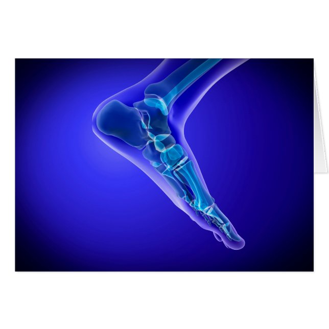 röntgenUitzicht van menselijke voet 3 (Voorkant Horizontaal)