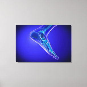 röntgenUitzicht van menselijke voet 3 Canvas Afdruk