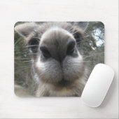 Roo Bob Muismat (Met muis)