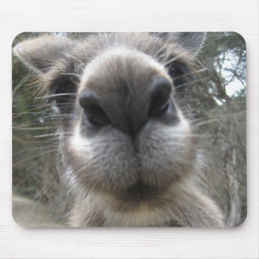 Roo Bob Muismat (Voorkant)