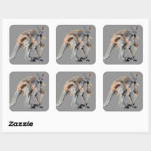 Roo Vierkante Sticker (Vel)