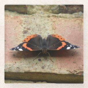 Rood admiraal Butterfly Glass Onderzetter