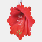 Rood Amaryllis Flower Keepsake Afbeelding Ornament Kaart (Links)