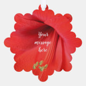Rood Amaryllis Flower Keepsake Afbeelding Ornament Kaart (Achterkant)