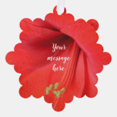 Rood Amaryllis Flower Keepsake Afbeelding Ornament Kaart (Voorkant)