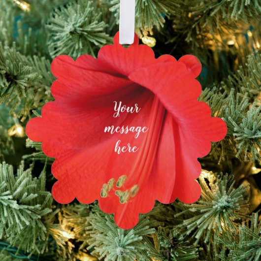 Rood Amaryllis Flower Keepsake Afbeelding Ornament Kaart (Insitu (Drie))