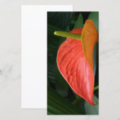 Rood Anthurium Plant tegen olie Bedankkaart (Voorkant / Achterkant)