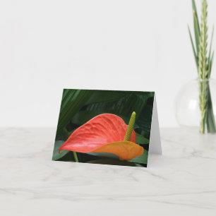 Rood Anthurium Plant tegen olie Bedankkaart