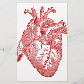Rood Antiek anatomisch hart
