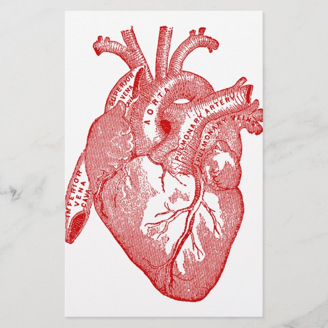 Rood Antiek anatomisch hart (Voorkant)