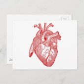 Rood Antiek anatomisch hart Briefkaart (Voorkant / Achterkant)