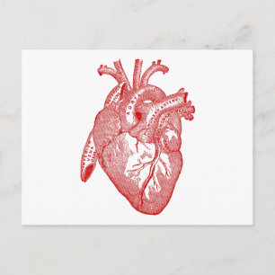 Rood Antiek anatomisch hart Briefkaart