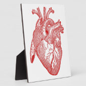 Rood Antiek anatomisch hart Fotoplaat (Zijkant)